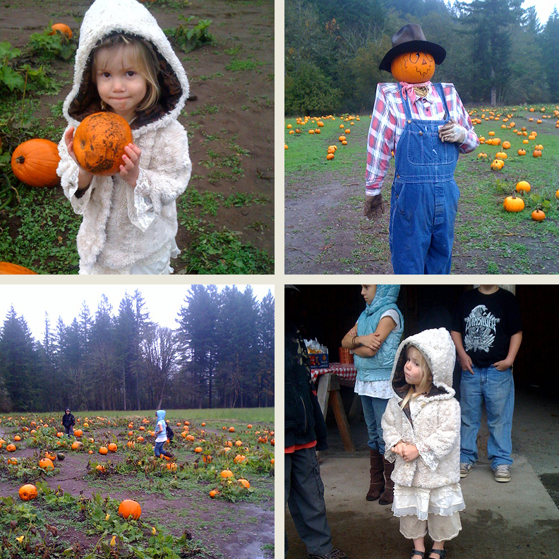 pumpkin-patch