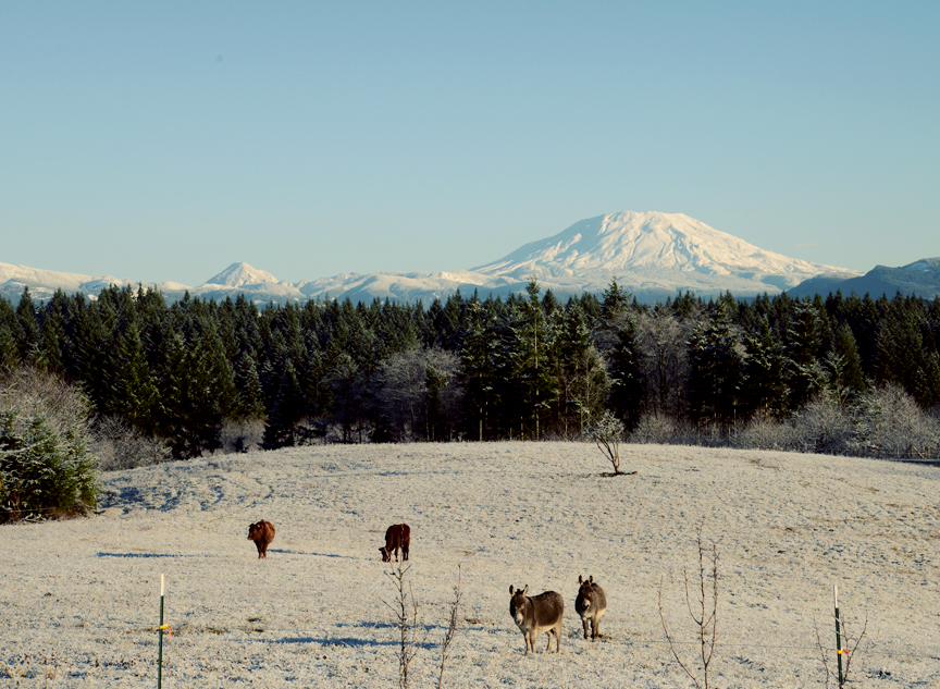 December mountain