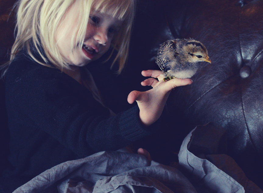 Hazel and chicken